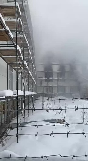 ������ ������� ���������� ��� ������ ������������ ������� � ������� ������ ��� � ����������