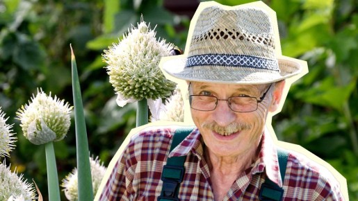 ��������� ������ � �����: 3 �������� ������, ��� ������ ���� �������