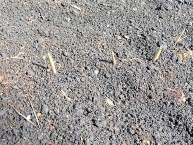 ��������� ������: ��������� �������� � ����������� �����