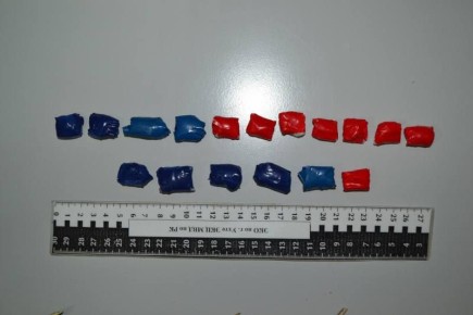 � ���� ����������� ��������� ���������� ���������