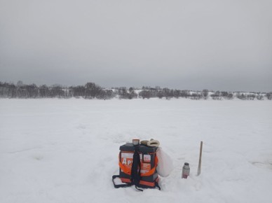 ������ ��������: ������� ���� �������� ������ ��� �������