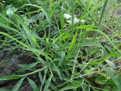 ��� �������� �����: ��� ��������� ��� �����������