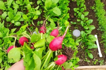 ������ ��������: ��� ����� ����� � ���� ��� �������� ������