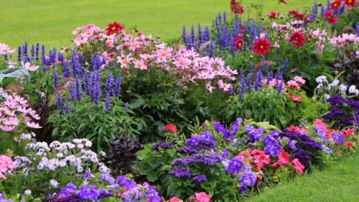 �������: ����� �������. 9 ������ ��� ��������� ������