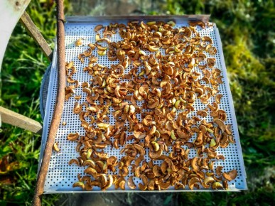 ������ �������: ��� ���������� ������ ������ � ����� �� ������