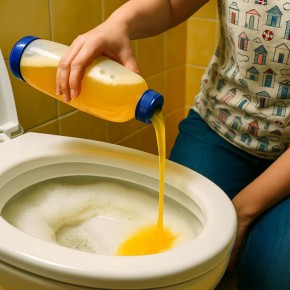 ������ ���� � �����: ������� ������ ������� ��� �����