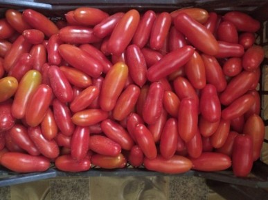 ����� ���� �������: ��������� ����� ��� ��������� � ��������������