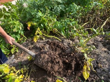 ������ �� ����� ���������� ��-�� ����������� ����� ��������