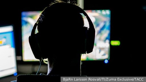 Общественная палата предложила механизм защиты от неоправданных расходов в играх