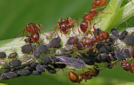 ����������� ������ ������ � ���� �� ��������� �� ��������� ������