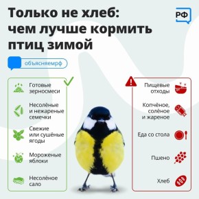 �������� ������ ����: �������� ������ �������� ������