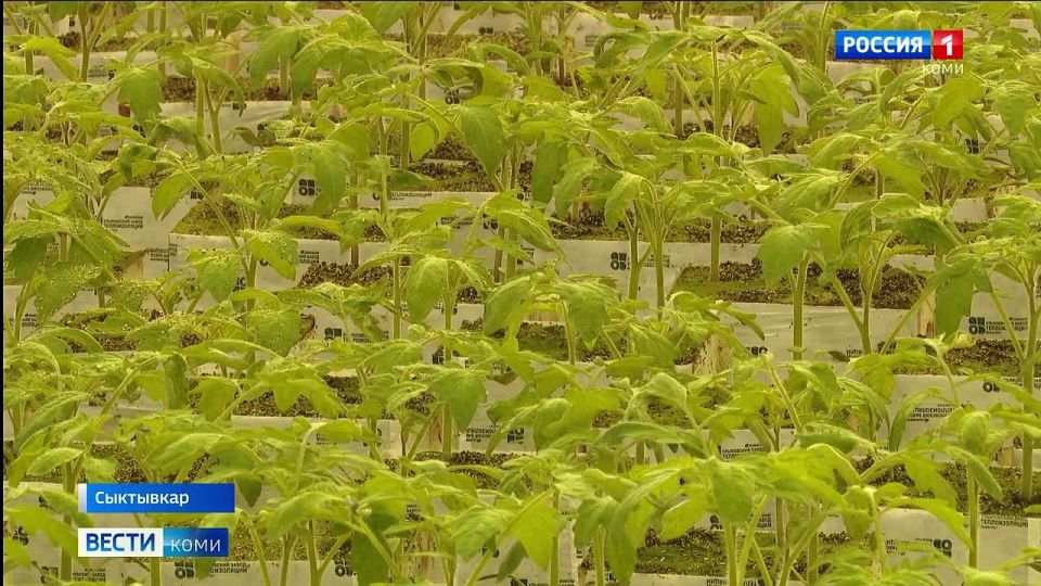 � ���������� ���������� � ������� ������� ������� � �������