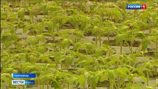 � ���������� ���������� � ������� ������� ������� � �������