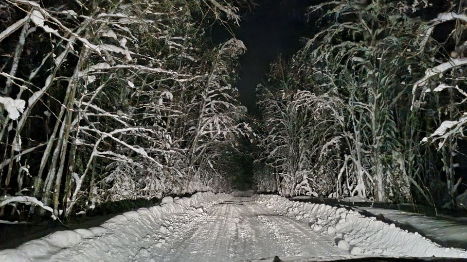 ����������� �������-���������� ������ ������� �������� ���������� ����������������, ����������������� ������������ � ������������ ������������� �����