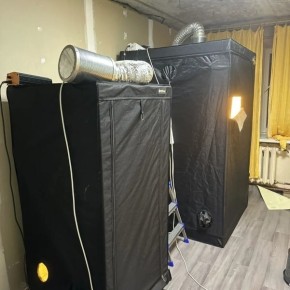 � ���� ����������� ������������� �������� ����-����� �� ����������� ������� � ��������������� ������