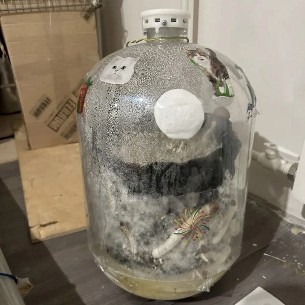 В Ухте полицейские ликвидировали домашнюю мини-ферму по выращиванию конопли и наркосодержащих грибов В Ухте полицейские ликвидировали домашнюю мини-ферму по выращиванию конопли и наркосодержащих грибов