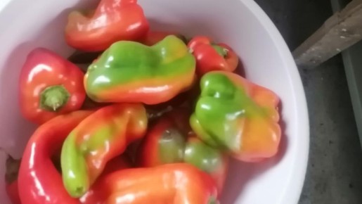 ������������ � ����������, � ����� ������� ����� ����������� �������