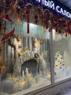 Максим Мартышин: Сегодня мы чествовали тех, кто в предновогодние недели постарался на славу, чтобы подарить всем нам, сыктывкарцам, настоящую зимнюю сказку -наградили победителей конкурса на лучшее новогоднее художественное...