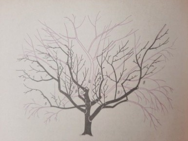 ������ ������ ��� �����: ��� ��������� ������ ��� ������