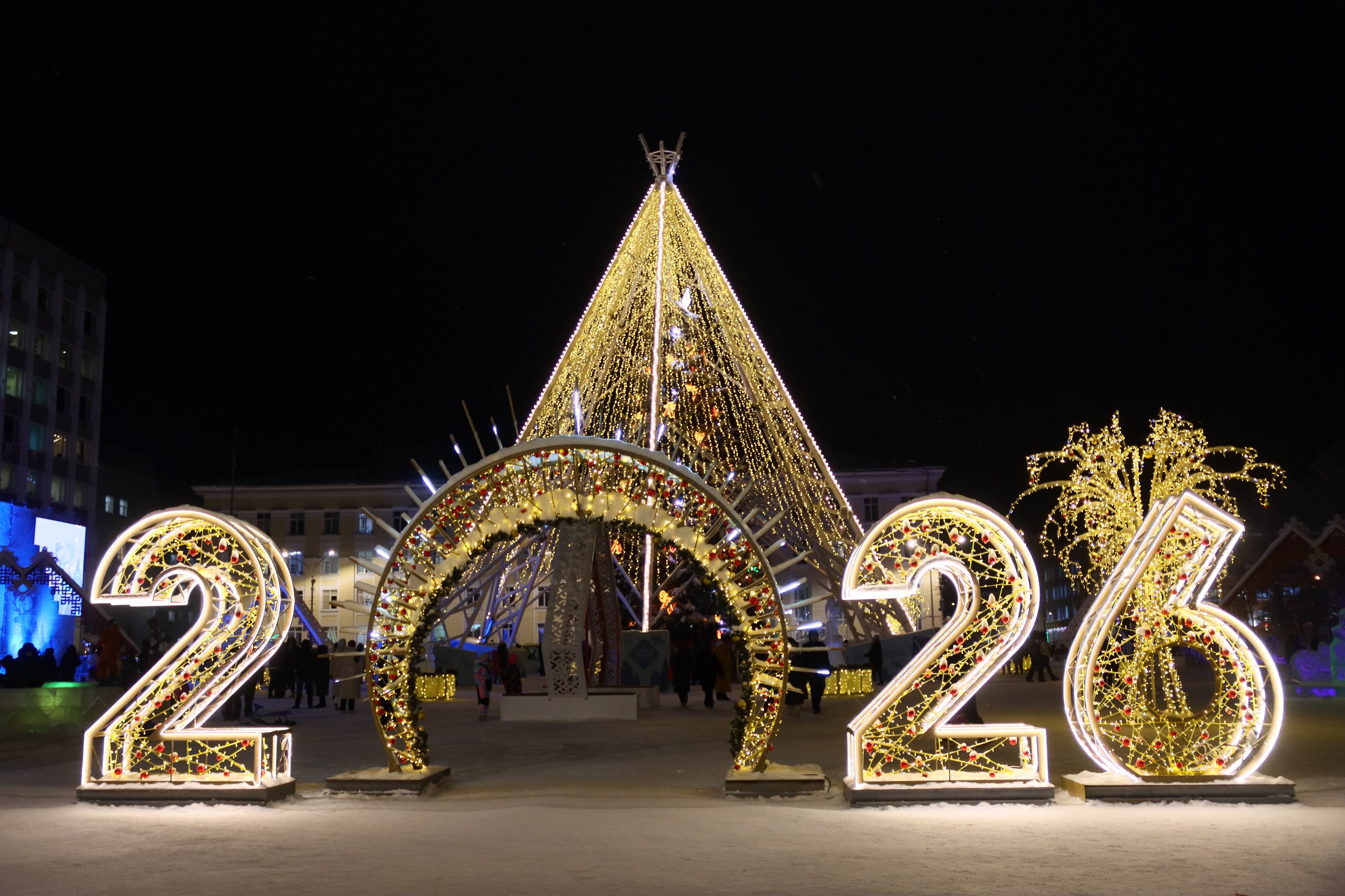 Дорогие сыктывкарцы и гости города!