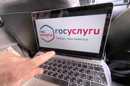 Новый сервис на Госуслугах: как узнать, есть ли у человека долги по алиментам