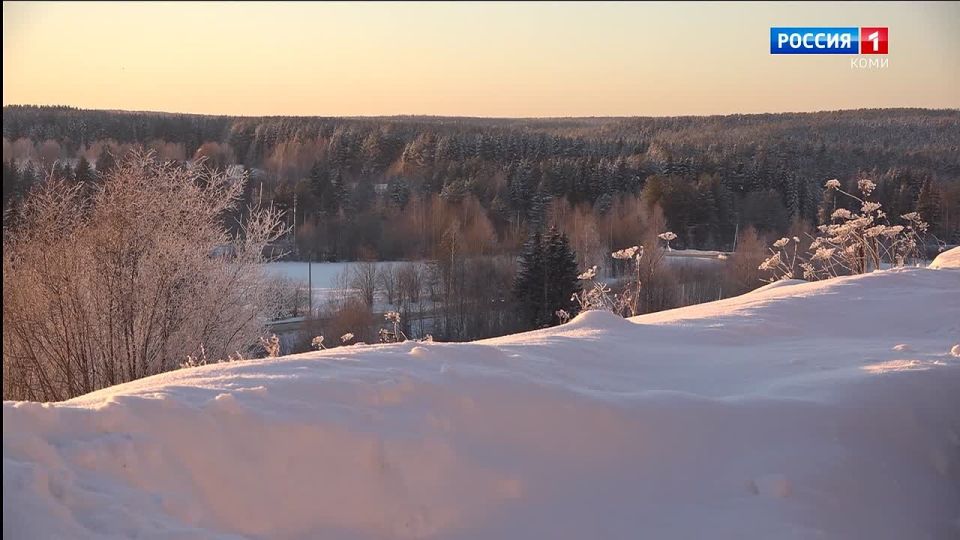 ����� ������ ���� ������� ���� �� ��������