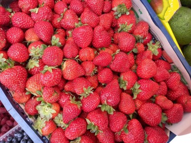 ��� �������, ����� ������� ������� �� �������� �� ��������: ������ ������� ������