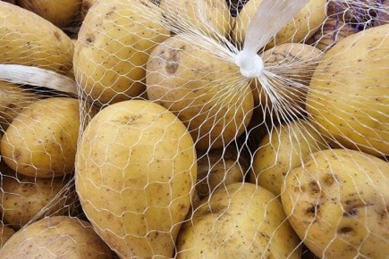 �������� ���, � ��������� ��������� ����� ��������� �����