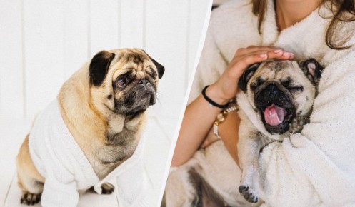 ������ ������ ������� ���������� ������: ������ ������ �� ��������