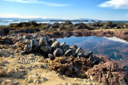 ������� �����: �� ������ �� ������ �����