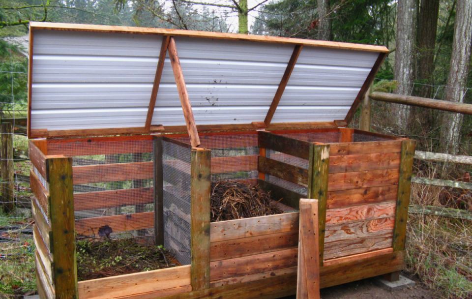 ��� ����������� ��� � ����: ������, ������� ������� �������� ������