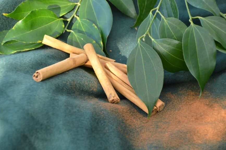 ������ � ����: 17 ������������ �������� ������� ��� ������� �����