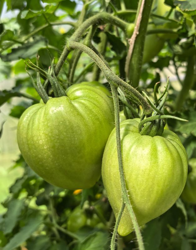 ��� ��������� ���������� ������ � ���� ��� ������� ������