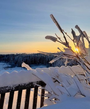 Максим Мартышин: Да, хоть и мороз, но дома сложно усидеть в выходной день!