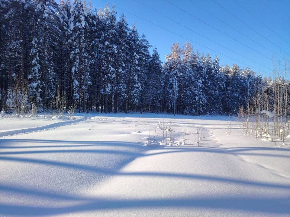 ������ ��������: ���� �������� � ���� ����� ��- ��������