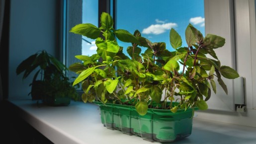 �������� ������ �������� �� ���� ������: �� ����������� �������� ������ ����