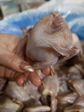 Борщ с перепёлками для фронта: как просто обед может объединить