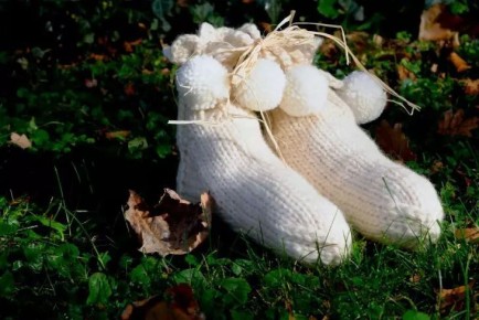 ��� ����� ����� ������� ����� �����: �������� �����