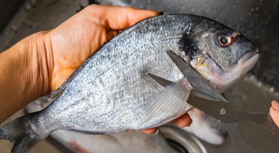 ������� ��� ���: ��� ����� ����������� ����