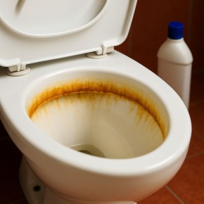 ��� ������� ������� ����������� ��� ����� �� 40 ����� � 15 ������