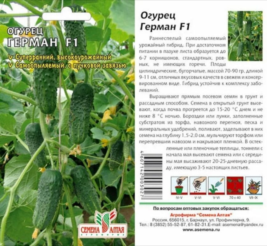 ��������� �������: ����, ������ � ���������� ����