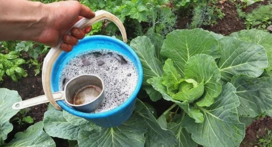 ��� ���������� ������� ��������� ������� ��� ����� � ������ �� ����������