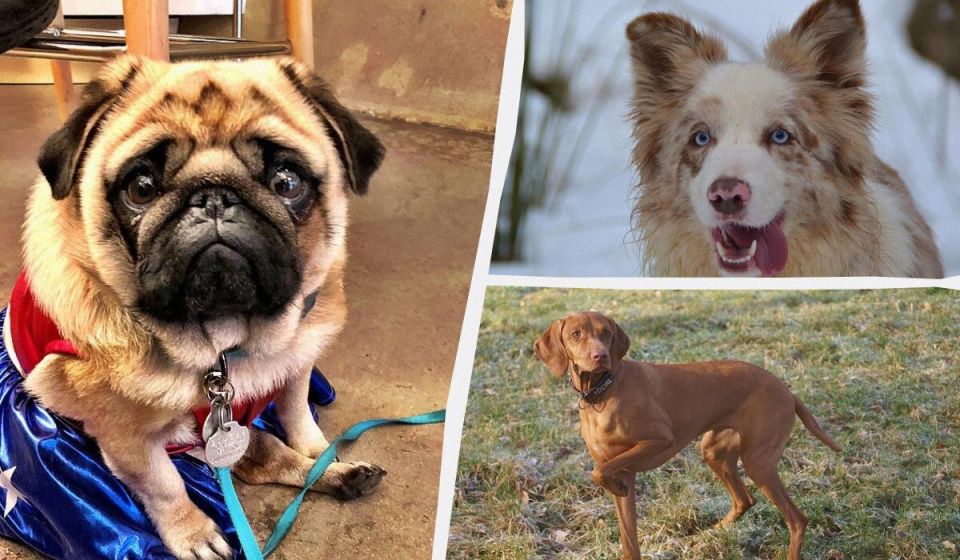 ������� �������: ����� ������ ��������� � ��������� ����� ������� ���