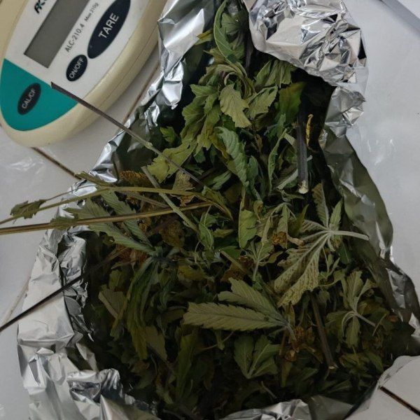 � ������ ����������� ������ � ����� �������� �������� ������ ������ ������� � ������������ ��� � ���������������