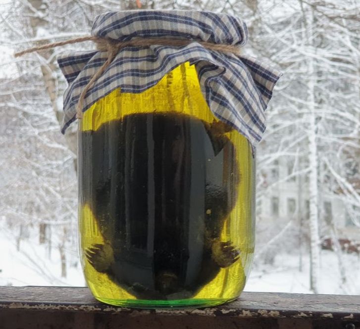 ��������� ������ ������������� ���������: ������� ������� ������������ ��������!