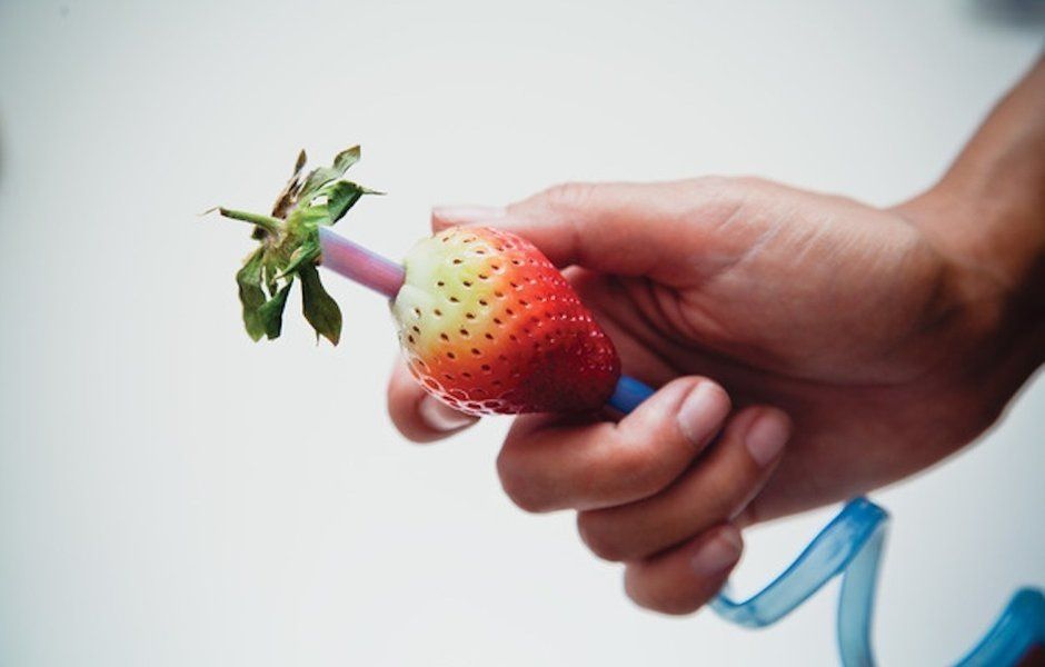 �������� ��� �����: ����� ��������� ��������� ������� �������������