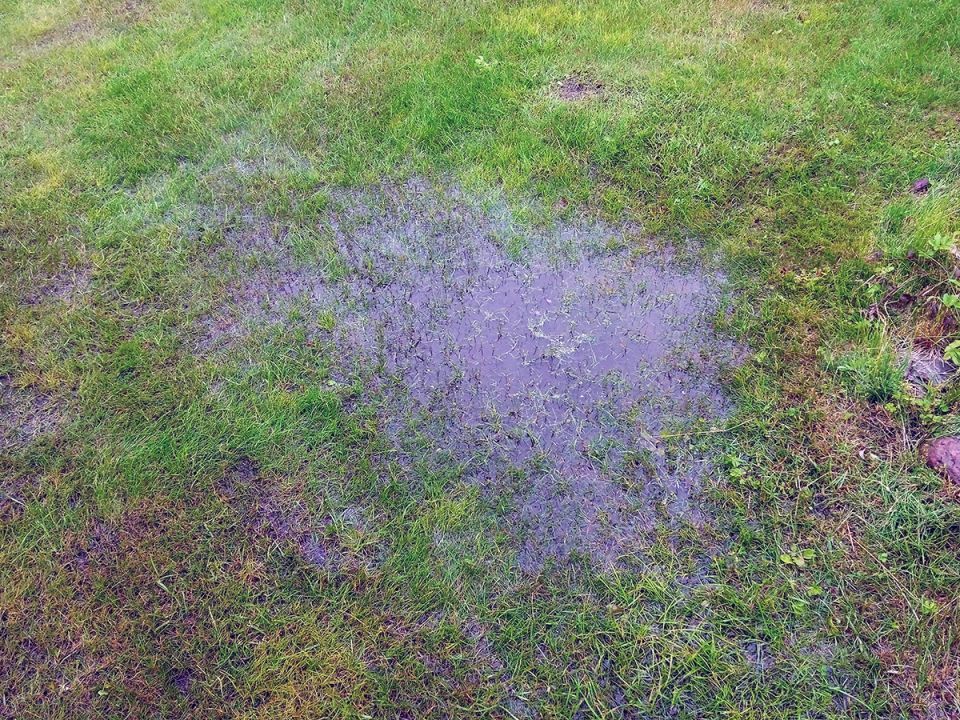 ��� ���������� � ��������� ����� � ����� ������� � ����