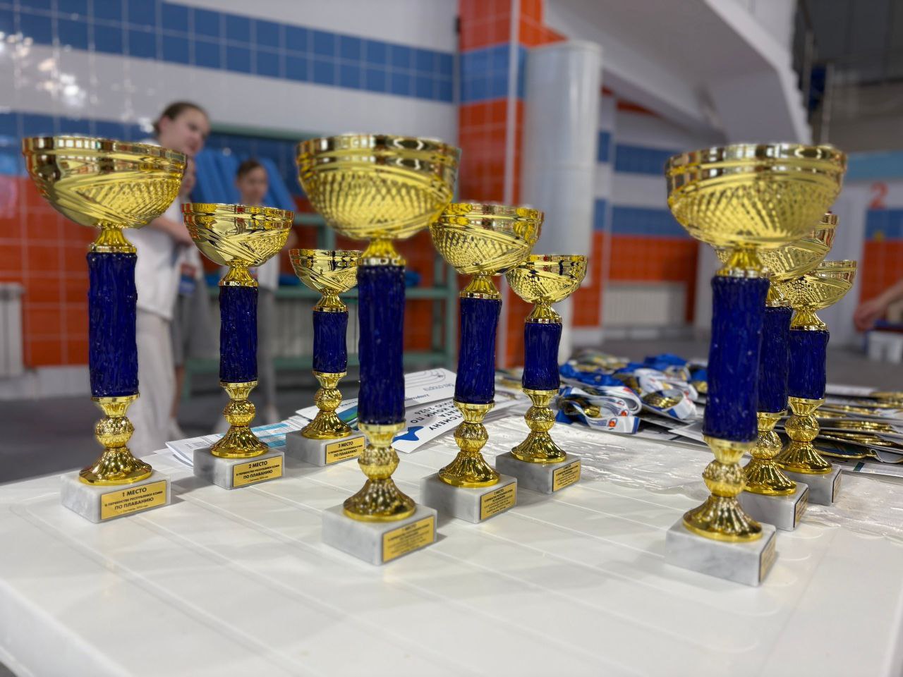 Максим Мартышин: Сыктывкарские пловцы - сильнейшие в республике! Команда столицы Коми с триумфом завершила Чемпионат и Первенства региона