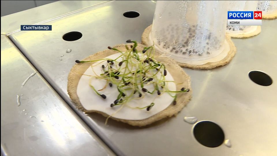 ����������� ������������� ������ ������ ���� �������� ��������������� ������� ����� ����� � ���, ��������� �� ���������� ����