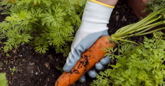 ��� ��������� ������� � ����������� ���������: ������ � 3 ���������� �� ������� ����